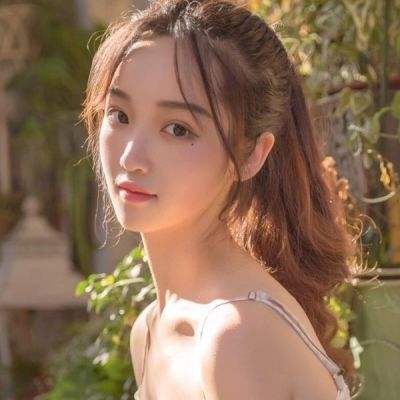 积木动物园最新版下载